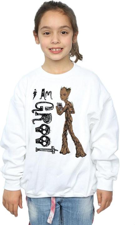 Produktbild Avengers Infinity War I Am Teenage Groot Sweatshirt Mädchen (152, 158)