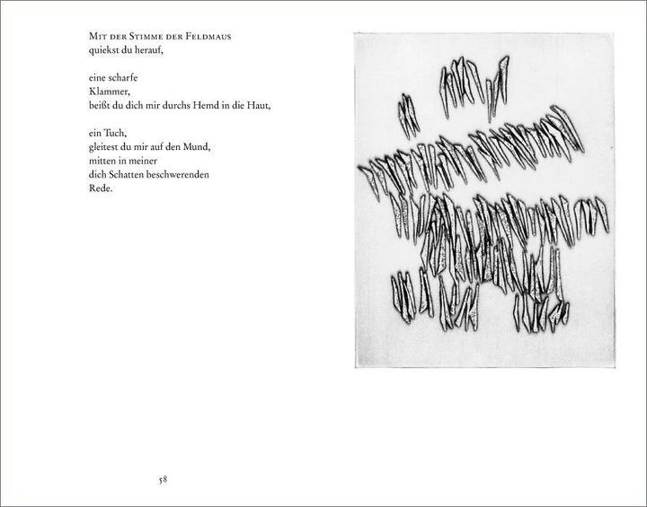 Produktbild Gedichte (Deutsch, Paul Celan, 2011)