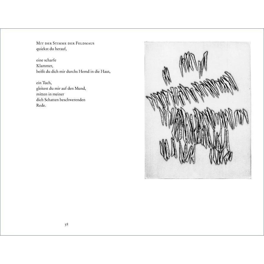 Gedichte, Belletristik von Paul Celan