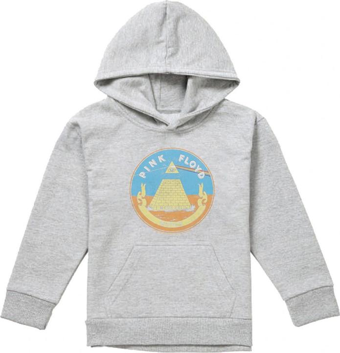 Produktbild Pink Floyd Money Kapuzenpullover meliert (116)