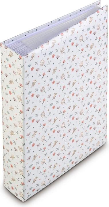 Colored, Multicolor, multicolour