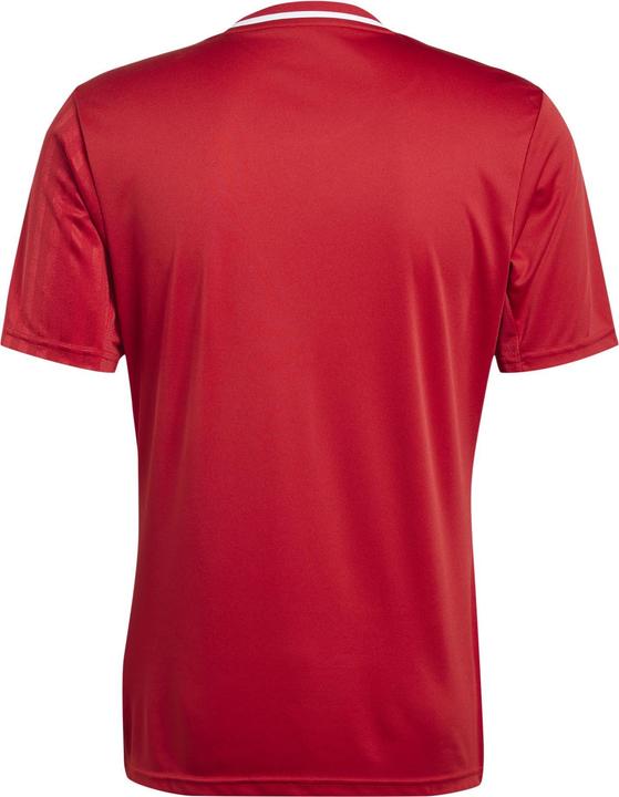 Immagine prodotto adidas Maglia Campeon 25 (S)