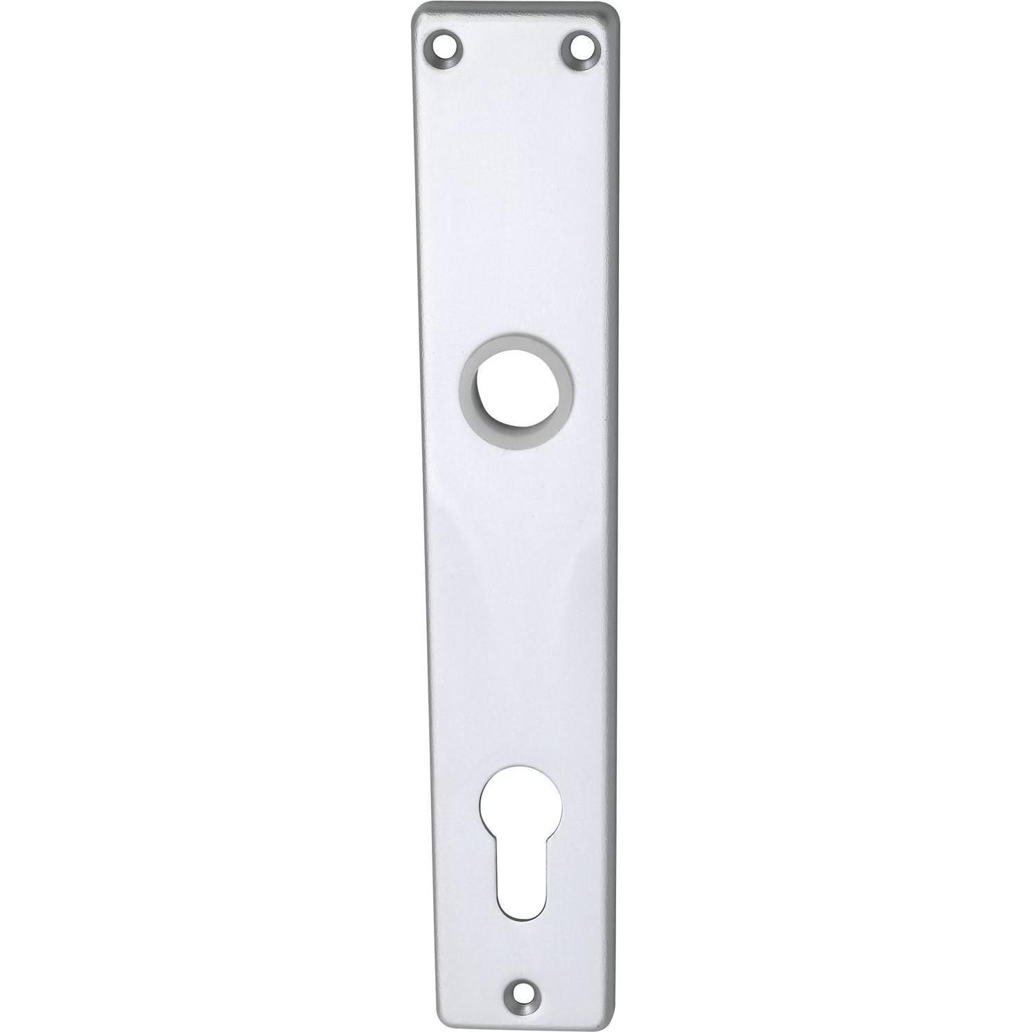 Brialma, Türgriff + Fenstergriff, Langschild EUROPA, PZ 88, silber eloxiert (Türschild)