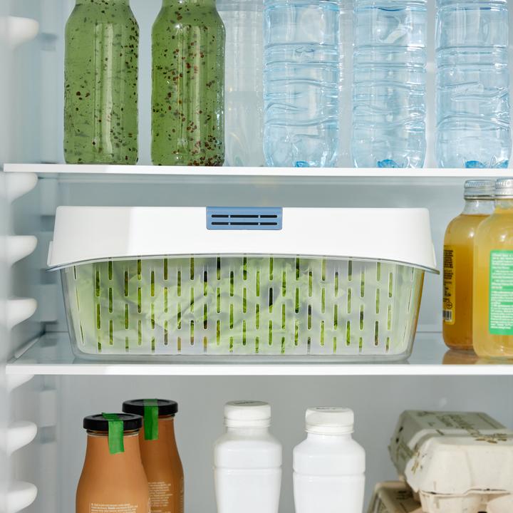 Produktbild Rotho Dynamic Box 6,4 l FRESH (6.40 l)