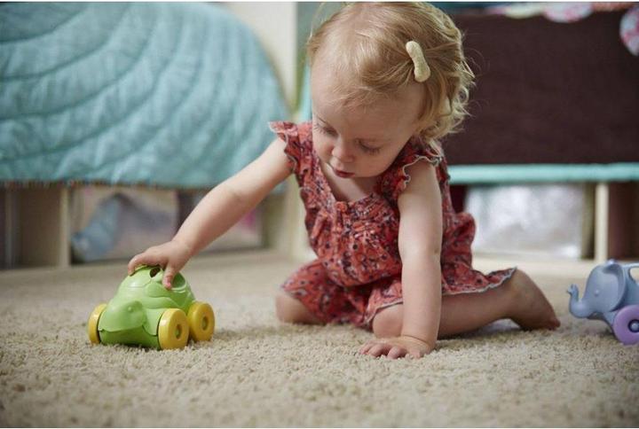 Image du produit Green Toys Turtle Push Toy Tortue