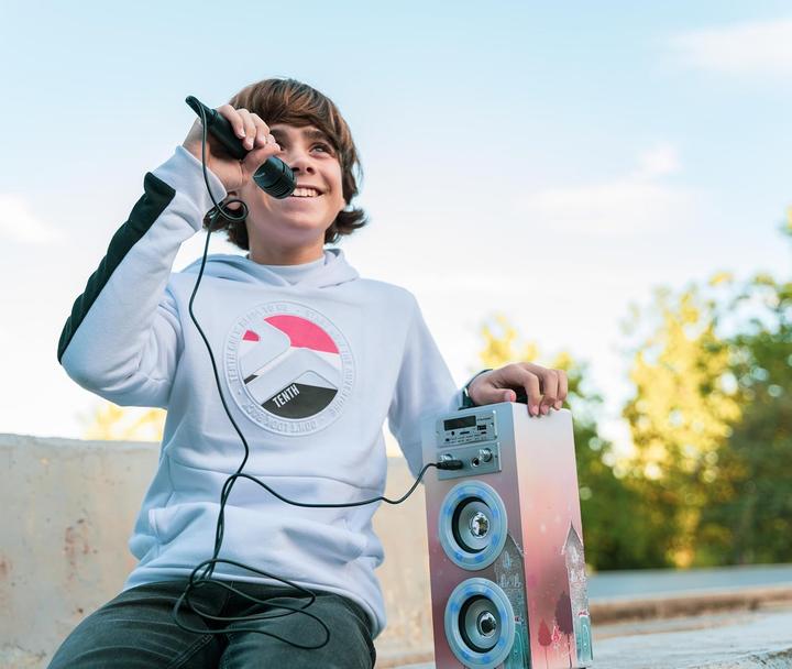 Actual product image Dynasonic Tragbare Karaoke-Maschine mit 2 Mikrofonen