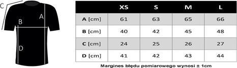 Actual product image Guess SS CN SANGALLO TEE W4GI14J1314 G011 L S (S)