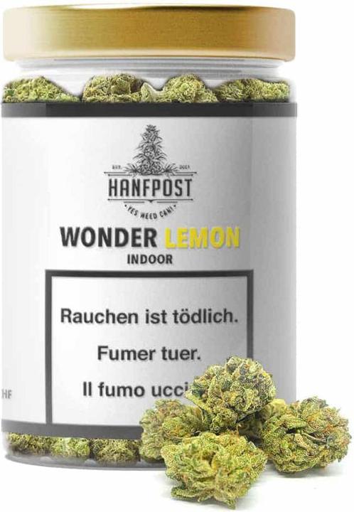 Actual product image Hanfpost Wonder Lemon Indoor (Indoor)