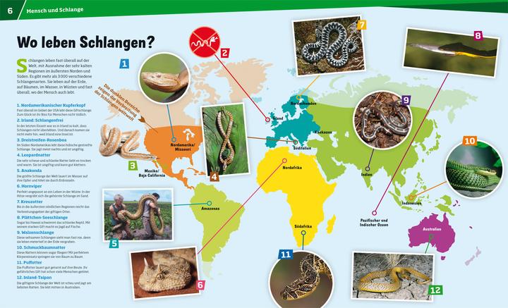 Produktbild Tessloff Was ist Was Schlangen. Jäger mit dem sechsten Sinn (Deutsch, Nicolai Schirawski, Johann Brandstetter, 2013)