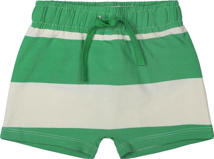 Image du produit The New Shorts (86)
