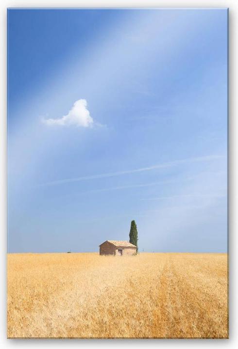 Produktbild Trenddeko In der Toskana (100 x 150 cm)