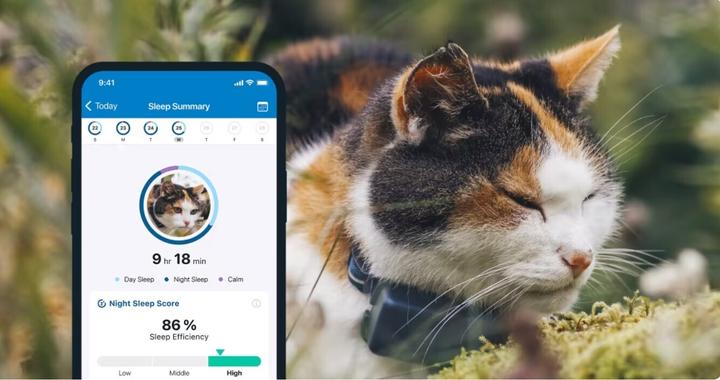 Image du produit Tractive CAT Mini tracker GPS pour chats (Chat, Général)