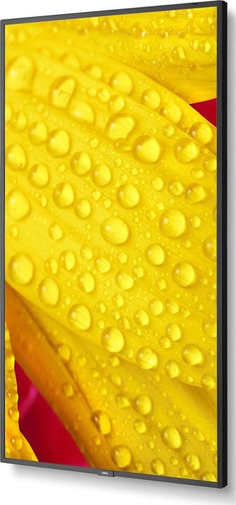 Productafbeelding Sharp M431-2 43 INCH UHD 500CD/SQM (3840 x 2160 Pixels, 43")