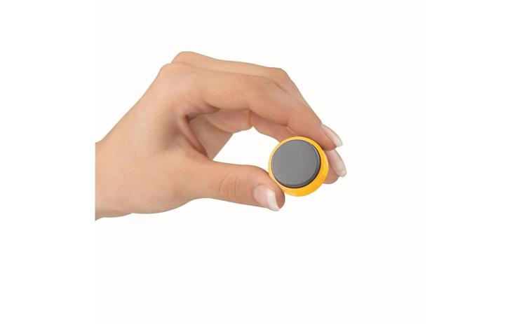 Produktbild Maul pro Magnet (20 x)