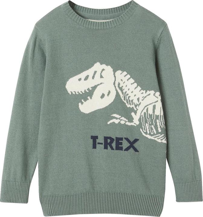 Actual product image Vertbaudet Jungen Pullover mit Dino (86)