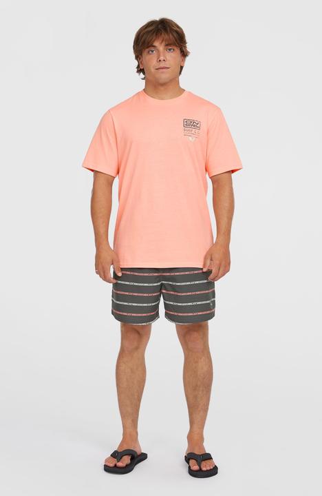 Produktbild O'Neill Cali First 15" Swimshorts (XXL)