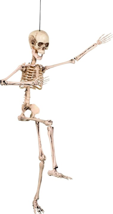 Actual product image Fasnacht Movable skeleton
