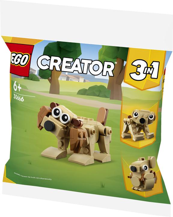 Productafbeelding LEGO 30666 Geschenkset met dieren (30666, LEGO Creator 3-in-1)