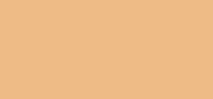 Image du produit Missha Perfect Cover (Beige chaud, 20 ml)