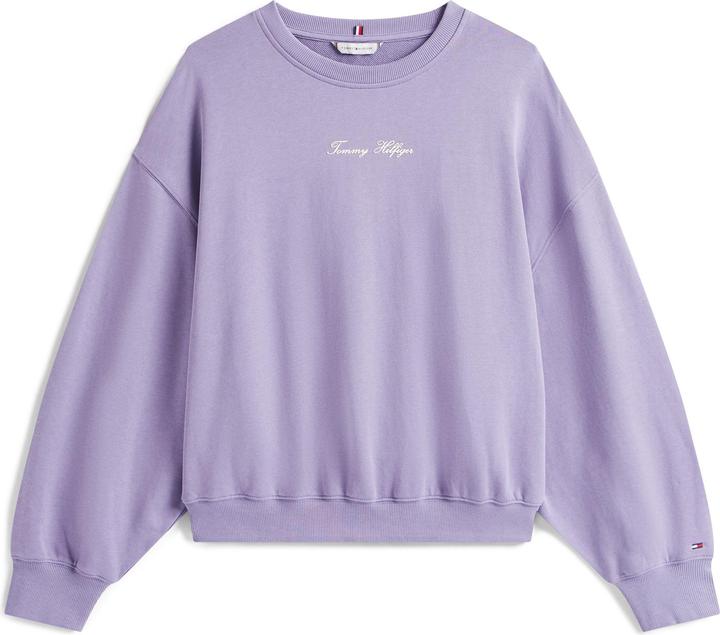 Produktbild Tommy Hilfiger Klassisches Skript-Terry-Crewneck-Sweatshirt (3XL)
