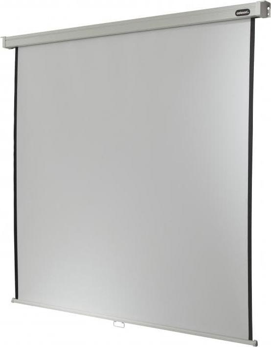 Actual product image Celexon Professional Plus (118", 4:3)