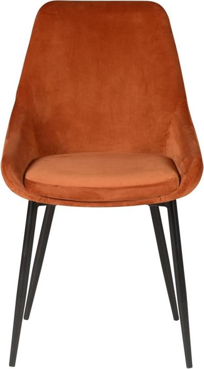 Immagine prodotto Zago Bari