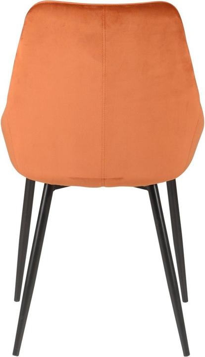 Immagine prodotto Zago Bari