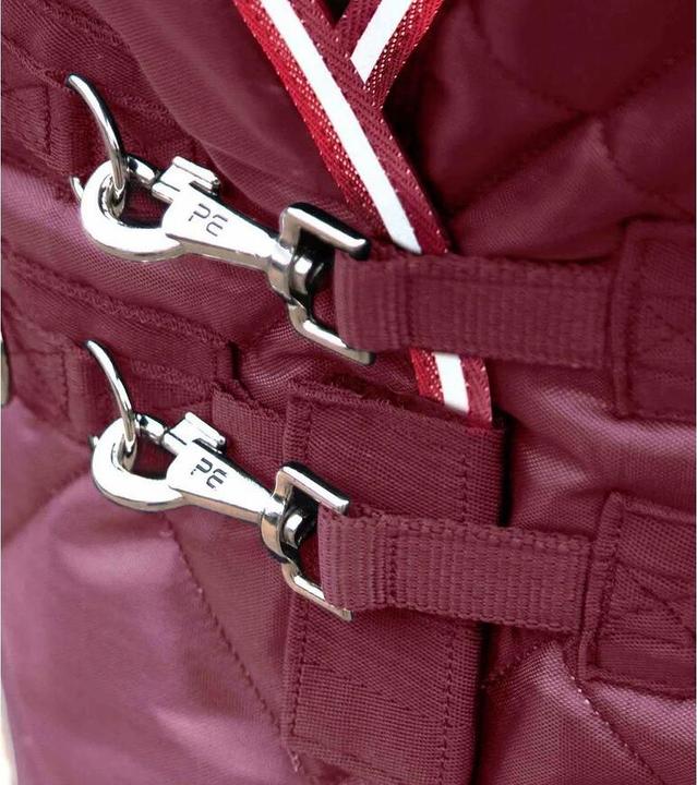 Produktbild Premier Equine Tuscan 100 g (160 cm)