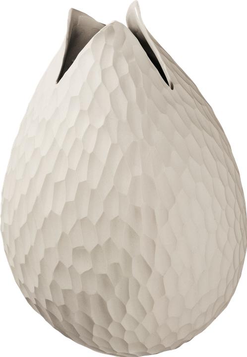 Image du produit ASA Selection nature (1x)