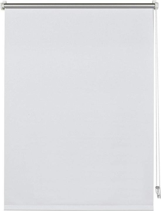 Thermo (100 x 150 cm)
