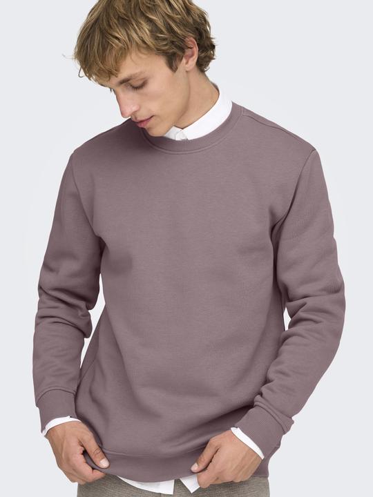 Produktbild Only & Sons Onsconnor Life Reg Crew Neck Sweat Noos (S)