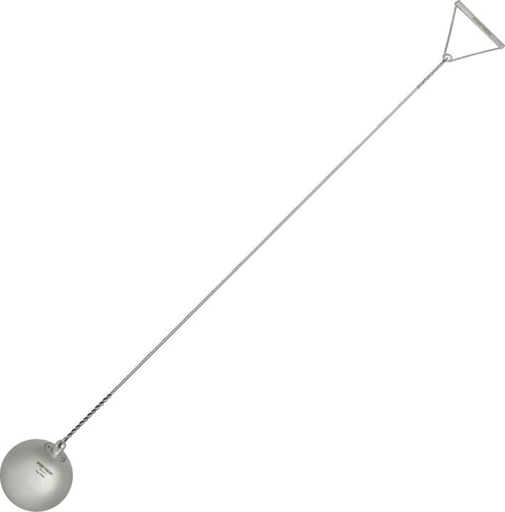 Image du produit Sport-Thieme Marteau à lancer "Saturne (2000 g)
