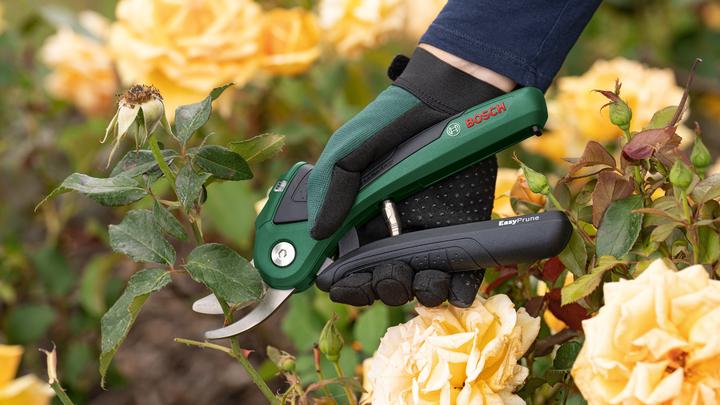 Productafbeelding Bosch Home & Garden Accu-tuinschaar EasyPrune