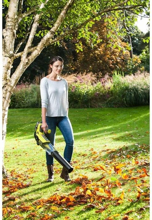 Actual product image Ryobi RBL18JB-40F (Rechargeable battery operated, Leaf blower)