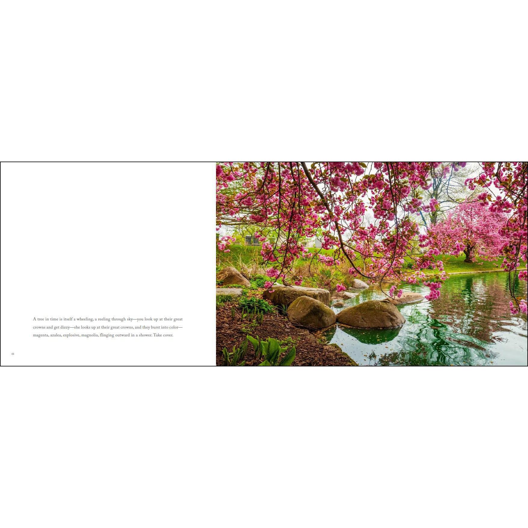 Thumbnail - Swensen:Ode to a Cemetery, Sachbücher von Cole Swensen