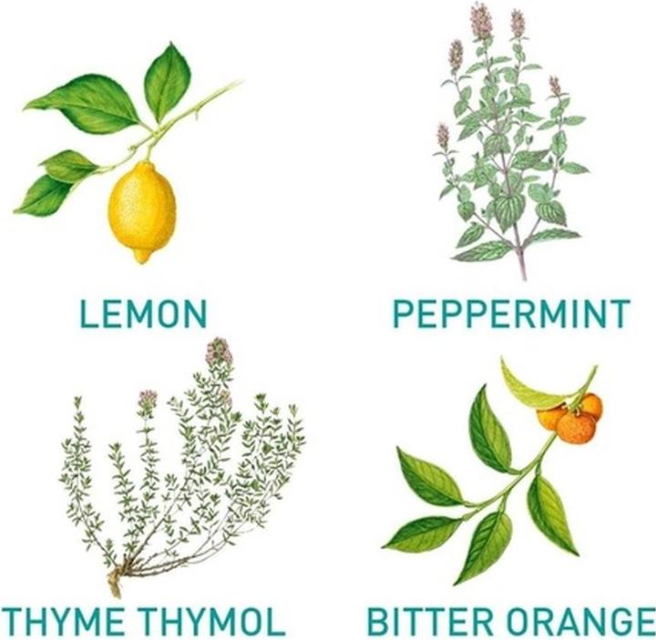 Produktbild Puressentiel Duftmischung Saubere Luft ätherische Öle zur Diffusion