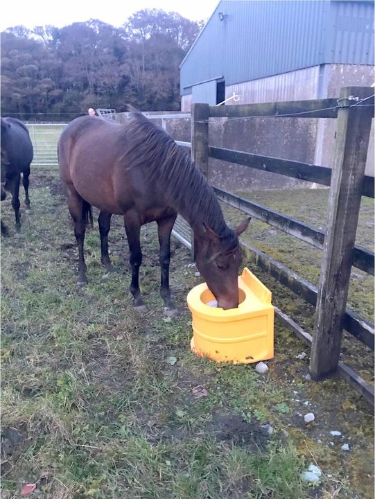 Actual product image JFC Thermal bucket thermal drinker