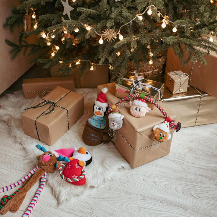 Produktbild Red Dingo DINGO Magic Moments - Hundespielzeug - 34 cm