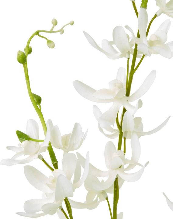 Immagine prodotto Hill Interiors Spruzzo di Cymbidium Fiore Artificiale (95 cm)