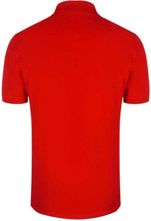 Actual product image Diesel Mens Triangular Logo Polo Shirt (L)