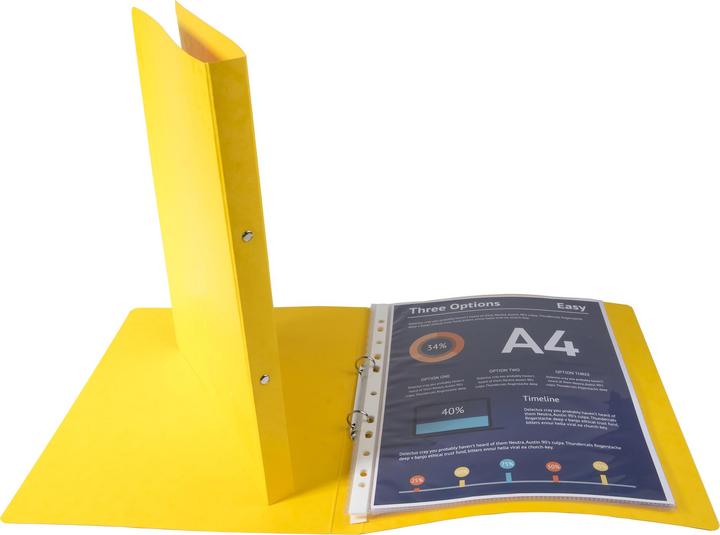 Actual product image Exacompta Ring binders (A4, 20 mm, 1 Piece)