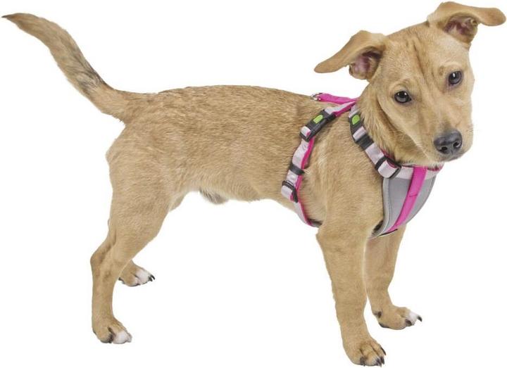 Image du produit Kerbl Harnais pour petits chiens (S, Chien, Général)