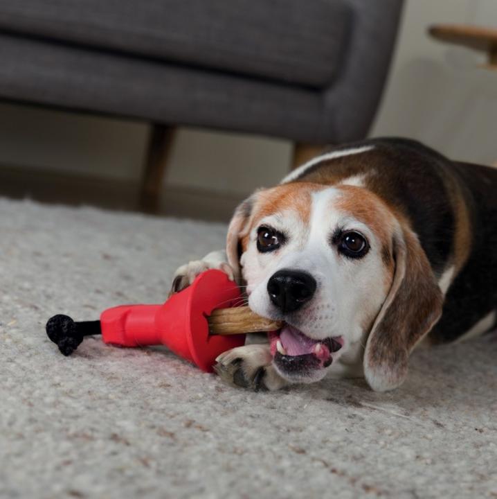 Produktbild Trixie Sichere Halterung Boneguard für Kauknochen