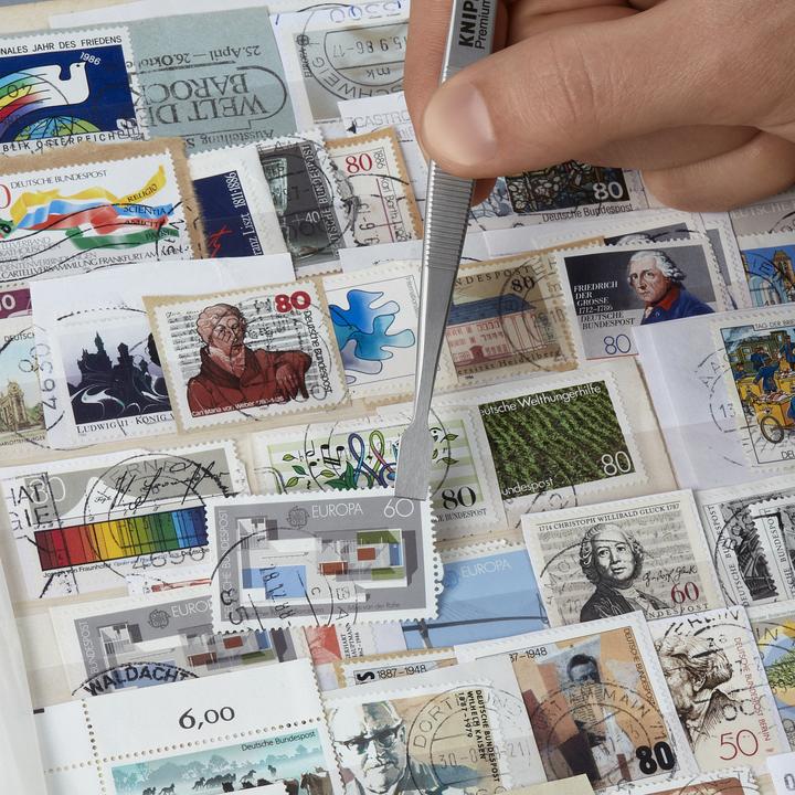 Image du produit Knipex Cobra (250 mm)