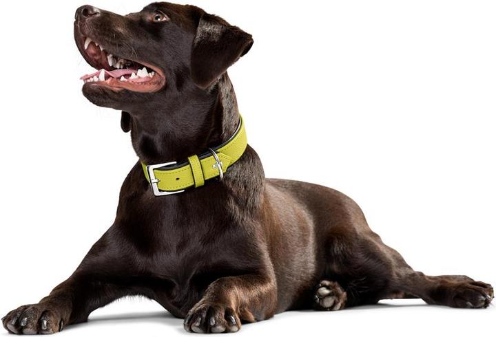 Produktbild Hunter Halsband Capri Rindnappaleder