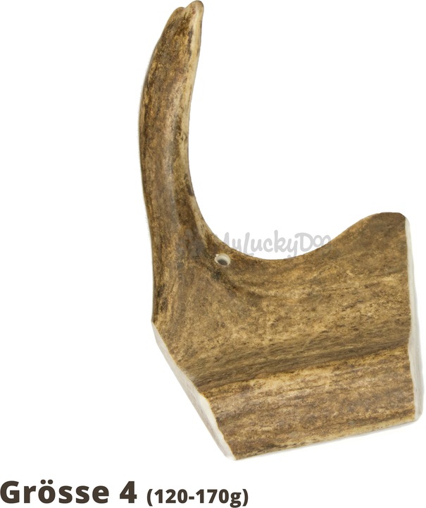 Produktbild Larrson Farm Elchgeweih ELK-Schäufle Kauartikel- 1 Stück (Adult, 1 Stk., 170 g)