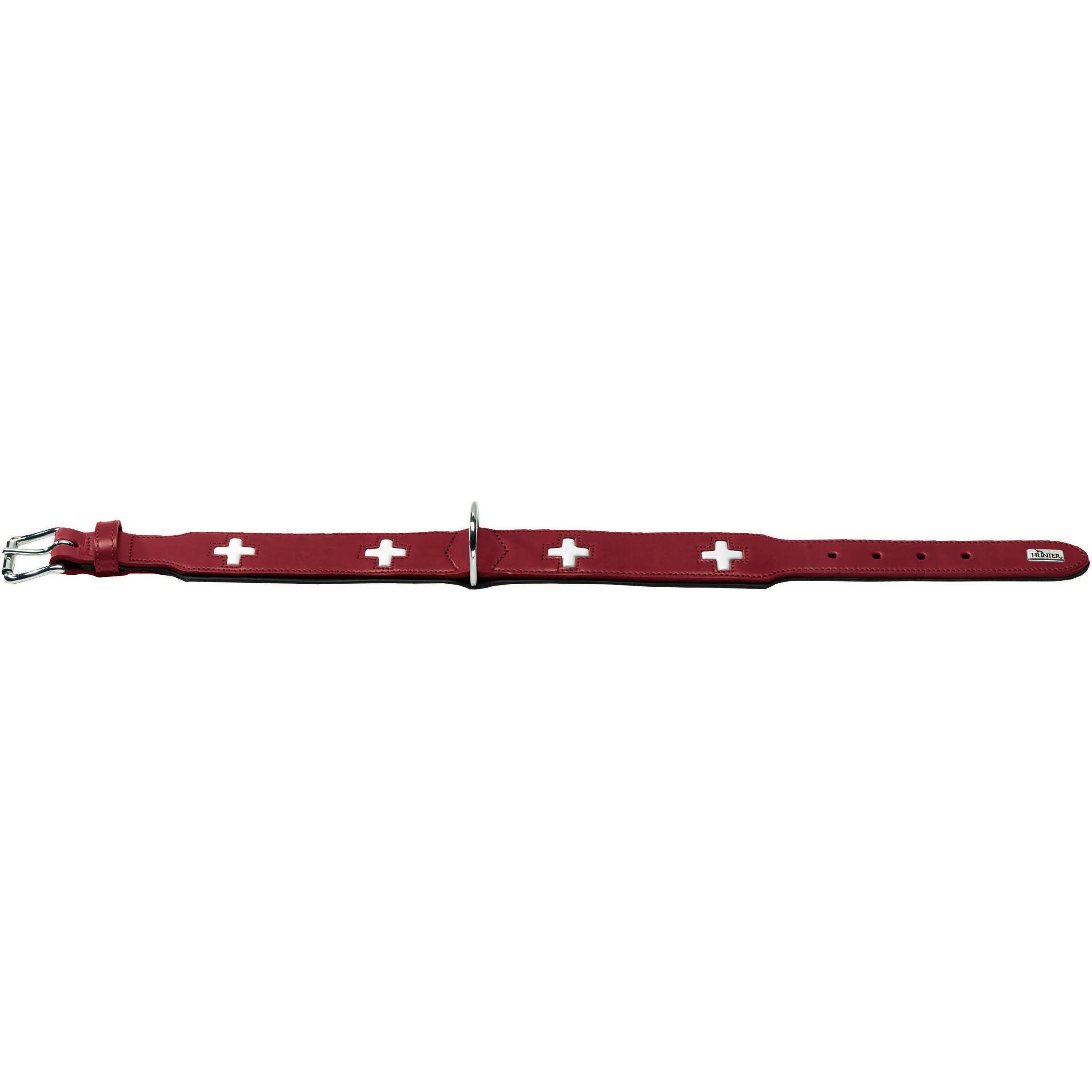 Hunter Halsband Swiss Echtleder, Halsband + Leine