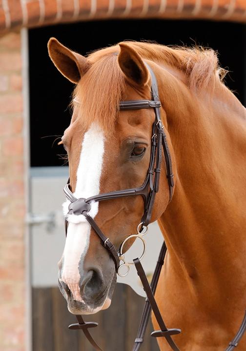 Produktbild Premier Equine Glorioso Zaum