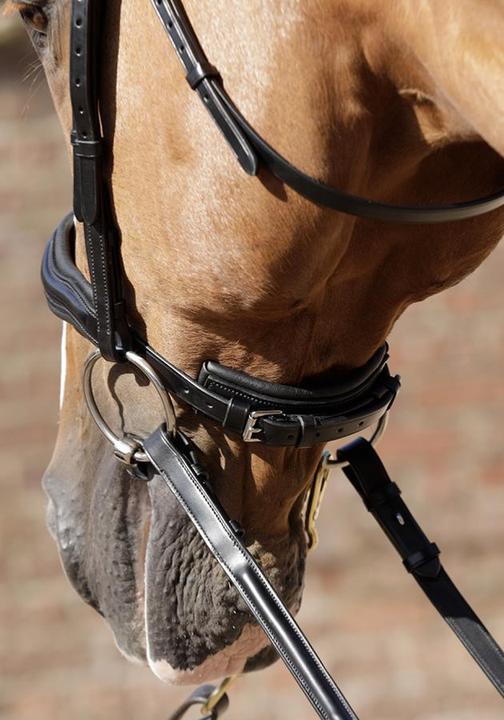 Actual product image Premier Equine Bridle Verdura anatomical