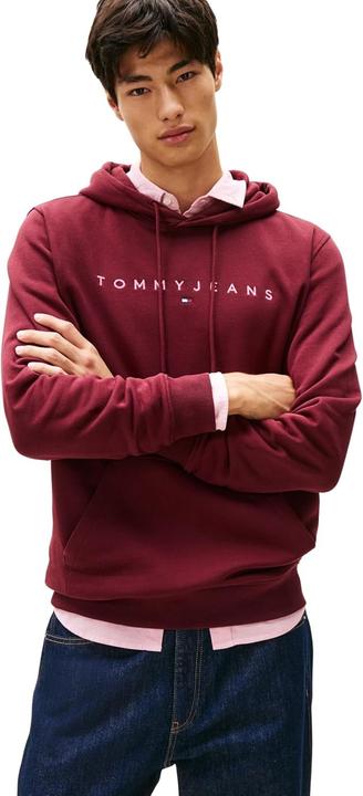 Produktbild Tommy Jeans Tjm Reg Linear Logo Hoodie Ext (S)